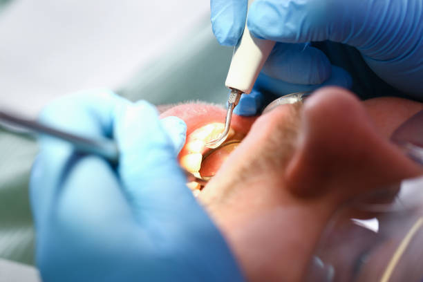 Best Emergency Orthodontic Repairs in Harwich Center, MA